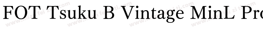 FOT Tsuku B Vintage MinL Pro字体转换